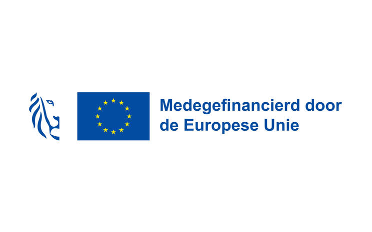 Logo medegefinancierd door de Europes Unie met vlaamse leeuw 16x9